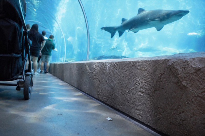 Private Full-Day, Three Attractions