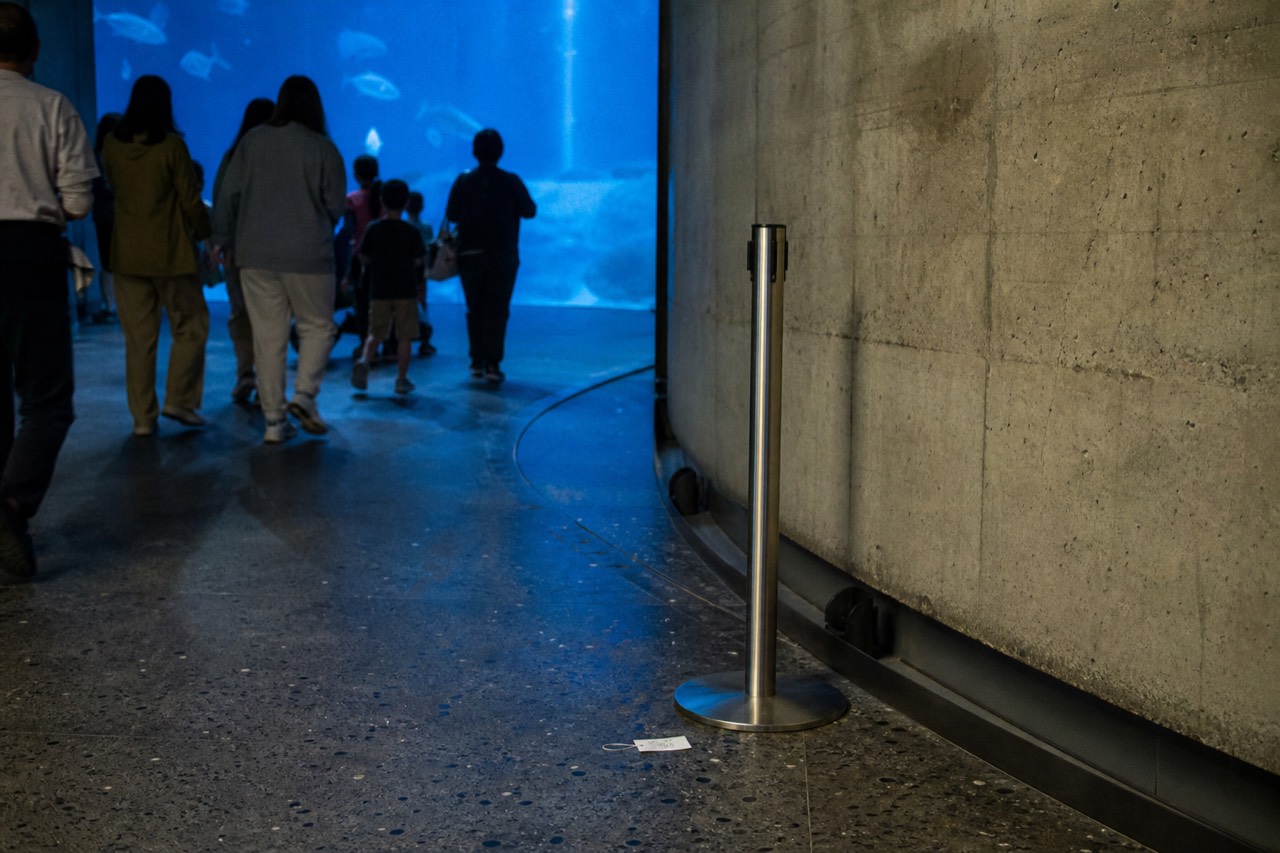Visitors at an aquarium tunnel entrance in Kuala Lumpur, no text, no logos, no people