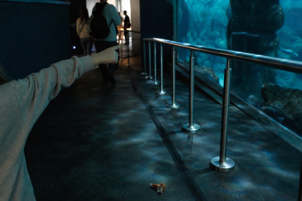 A young child pointing at fish inside a dimly lit aquarium gallery, no text, no logos, no people