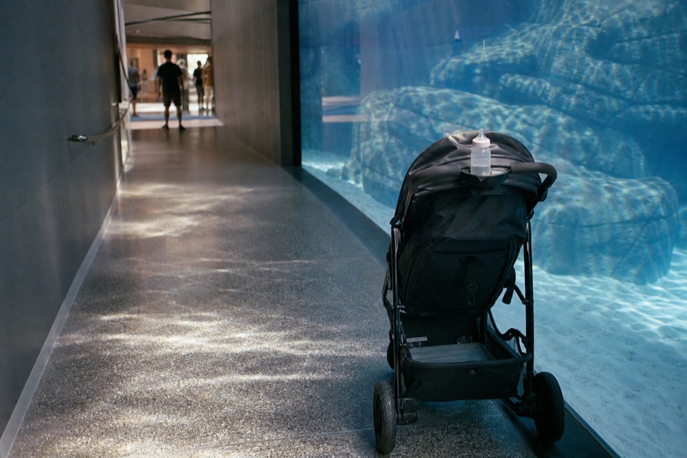 A wide accessible corridor with a stroller parked beside an aquarium window, no text, no logos, no people
