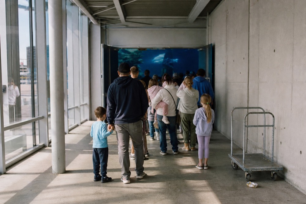 A queue of families with children at an aquarium entrance in the morning, no text, no logos, no people