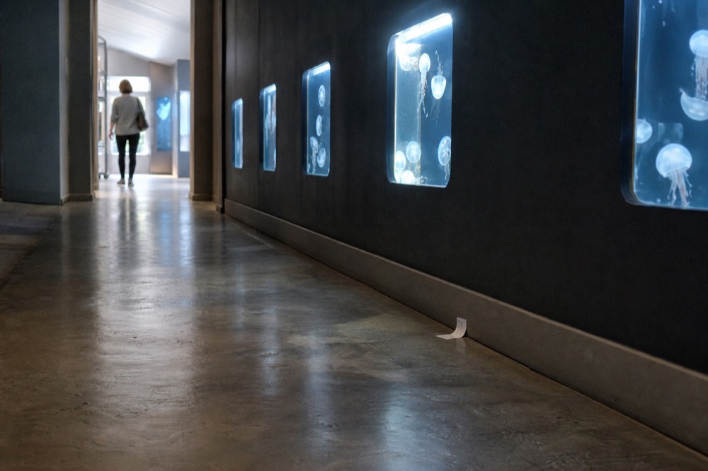 Empty aquarium corridor with jellyfish tanks glowing in low light, no text, no logos, no people