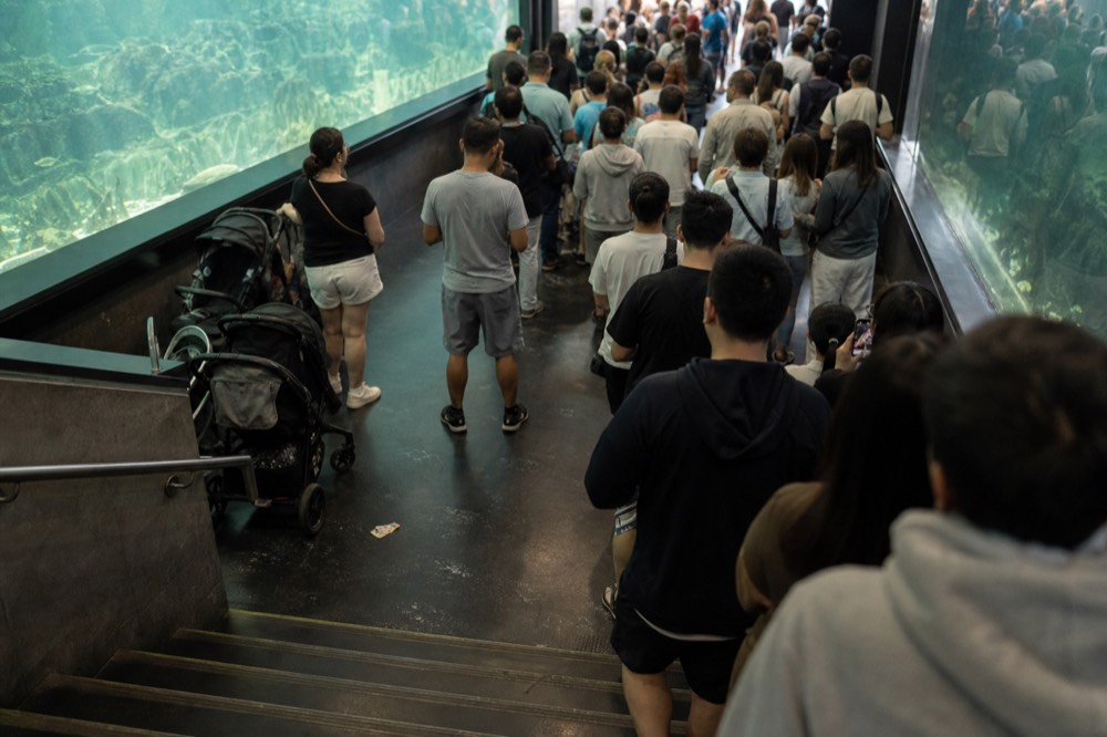 A crowded aquarium gallery with visitors queuing between tanks, no text, no logos, no people
