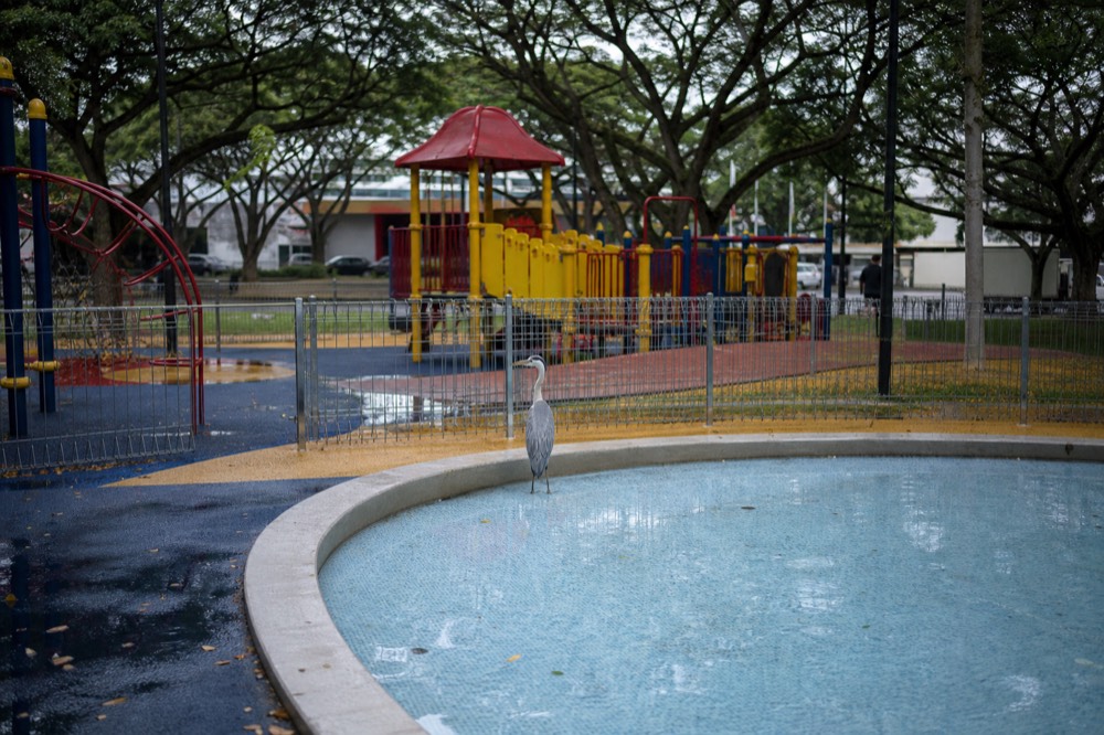 Children's play equipment and wading pool area in KLCC Park under trees, no text, no logos, no people