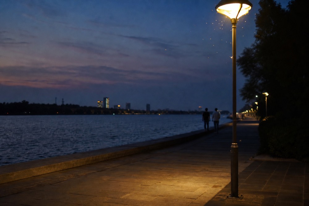 A lakeside evening scene with lit walkways and the city skyline behind, no text, no logos, no people