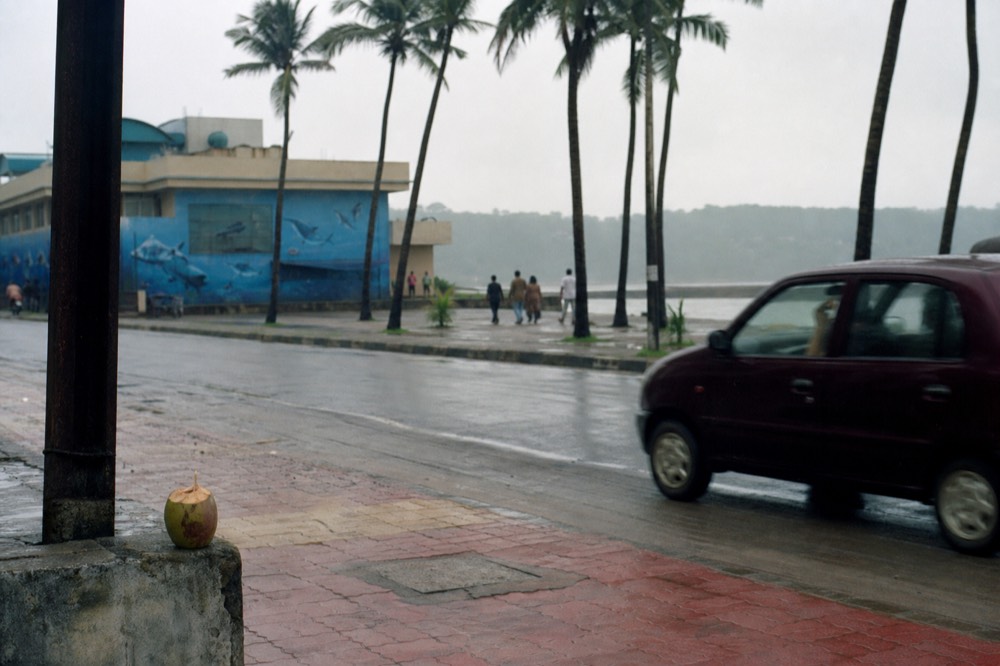A coastal aquarium building beside a beachfront road with palms, no text, no logos, no people