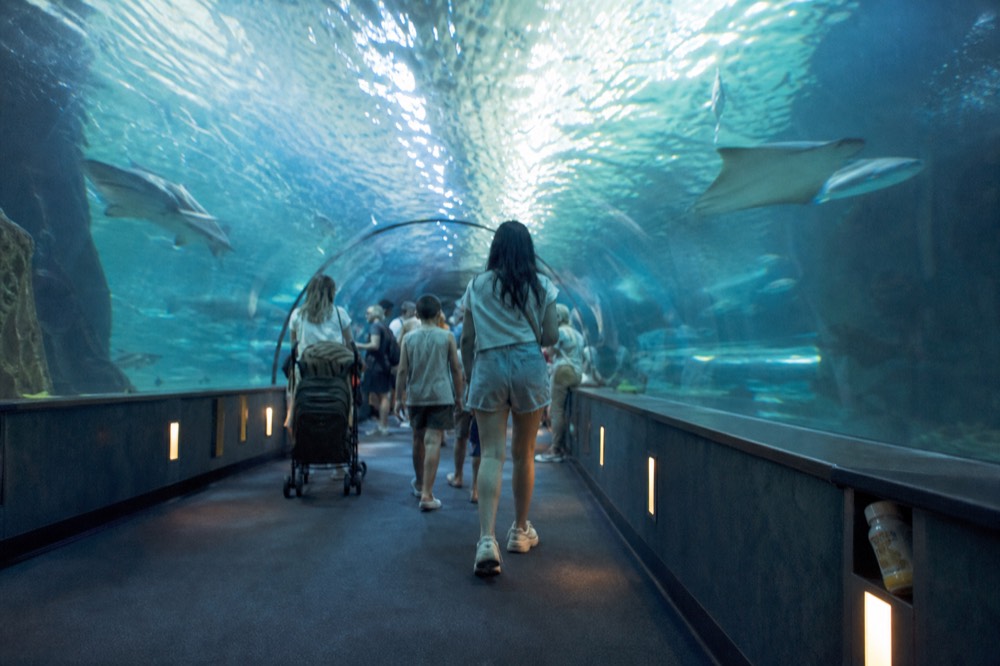 A family walking through a blue-lit underwater tunnel beneath rays and sharks, no text, no logos, no people