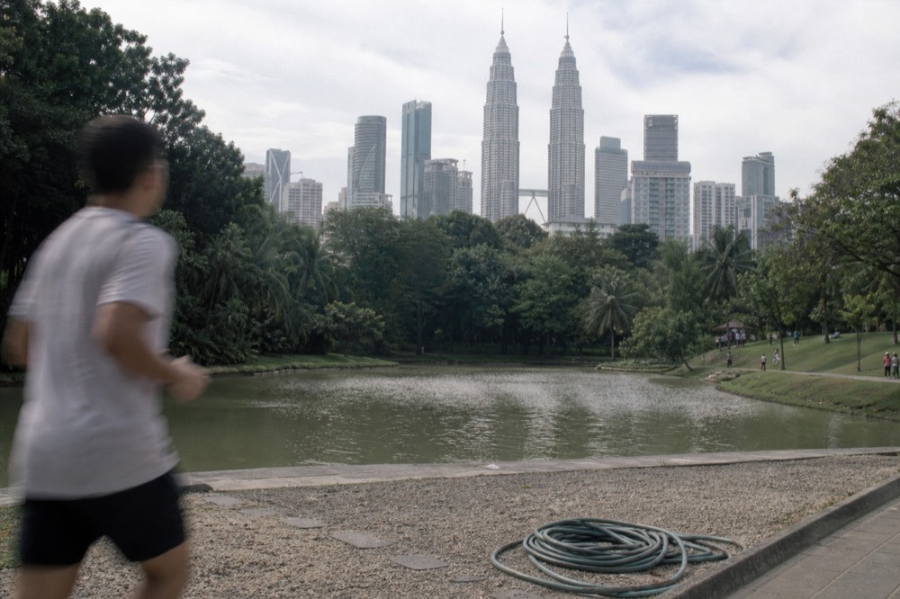 City skyline with twin towers and green park in foreground, no text, no logos, no people